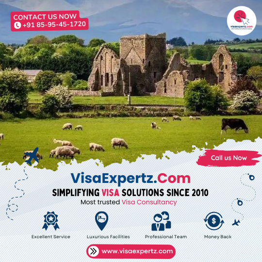 Ireland Visa Services