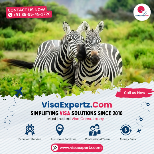 Kenya Visa Services